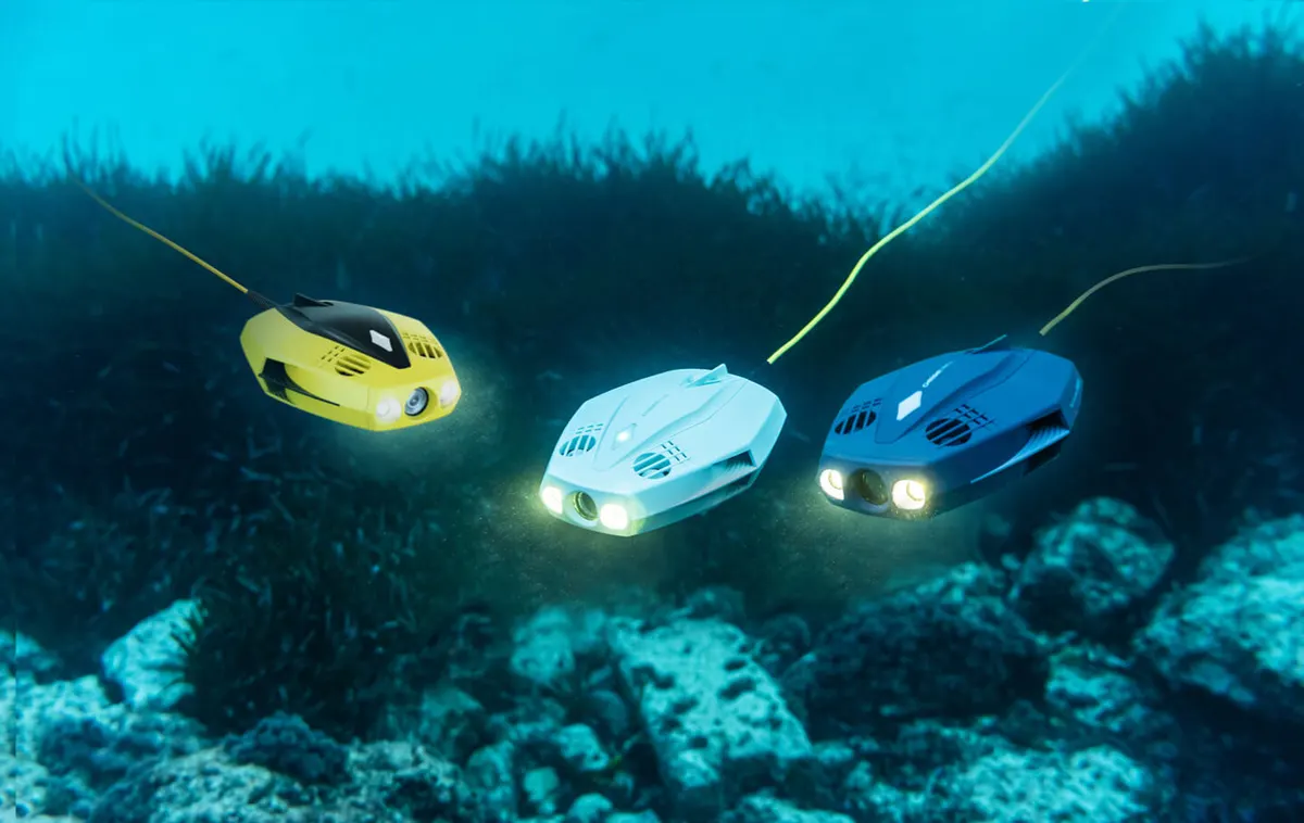 Drei Chasing Dory Drohnen in Gelb, Weiß und Blau über einem Unterwasser-Seegrasfeld